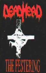 Dead Head : The Festering Dead Head : The Festering